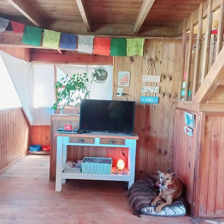 El Canto De La Ballena Bungalow 2 Niveles Puerto Pirámides Eksteriør billede