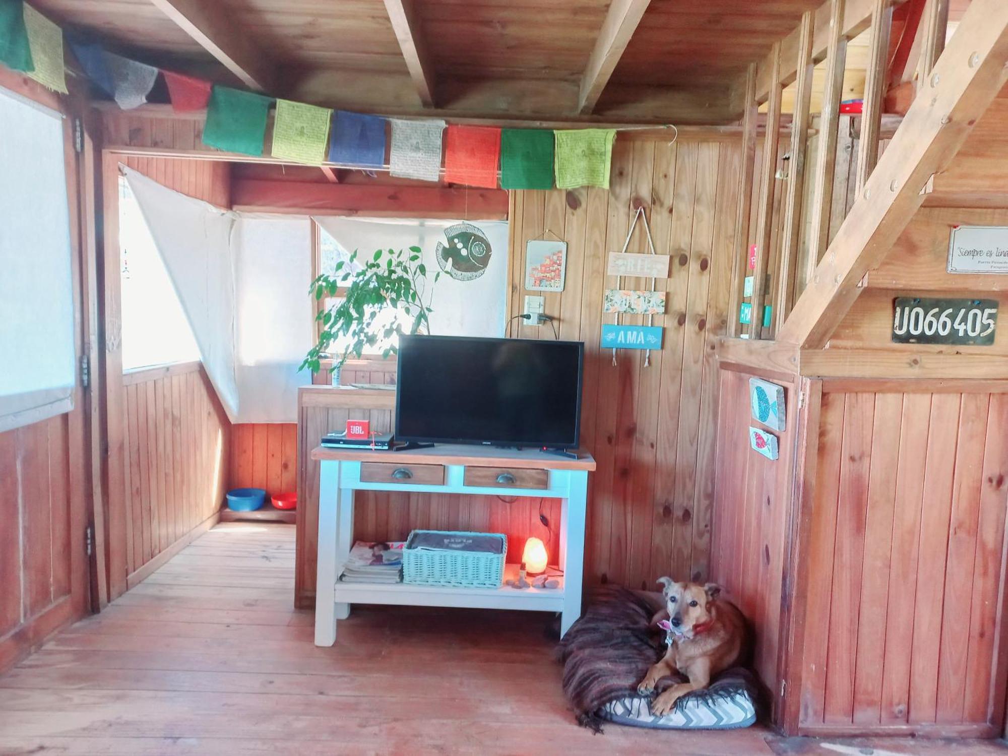 El Canto De La Ballena Bungalow 2 Niveles Puerto Pirámides Eksteriør billede